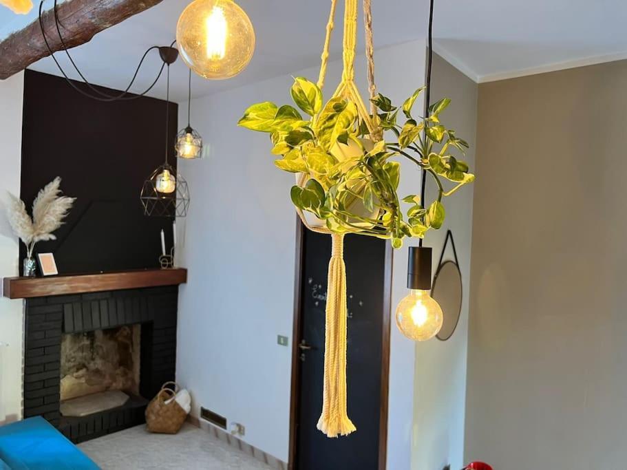 Ottanio Lake Apartment بيسوني المظهر الخارجي الصورة